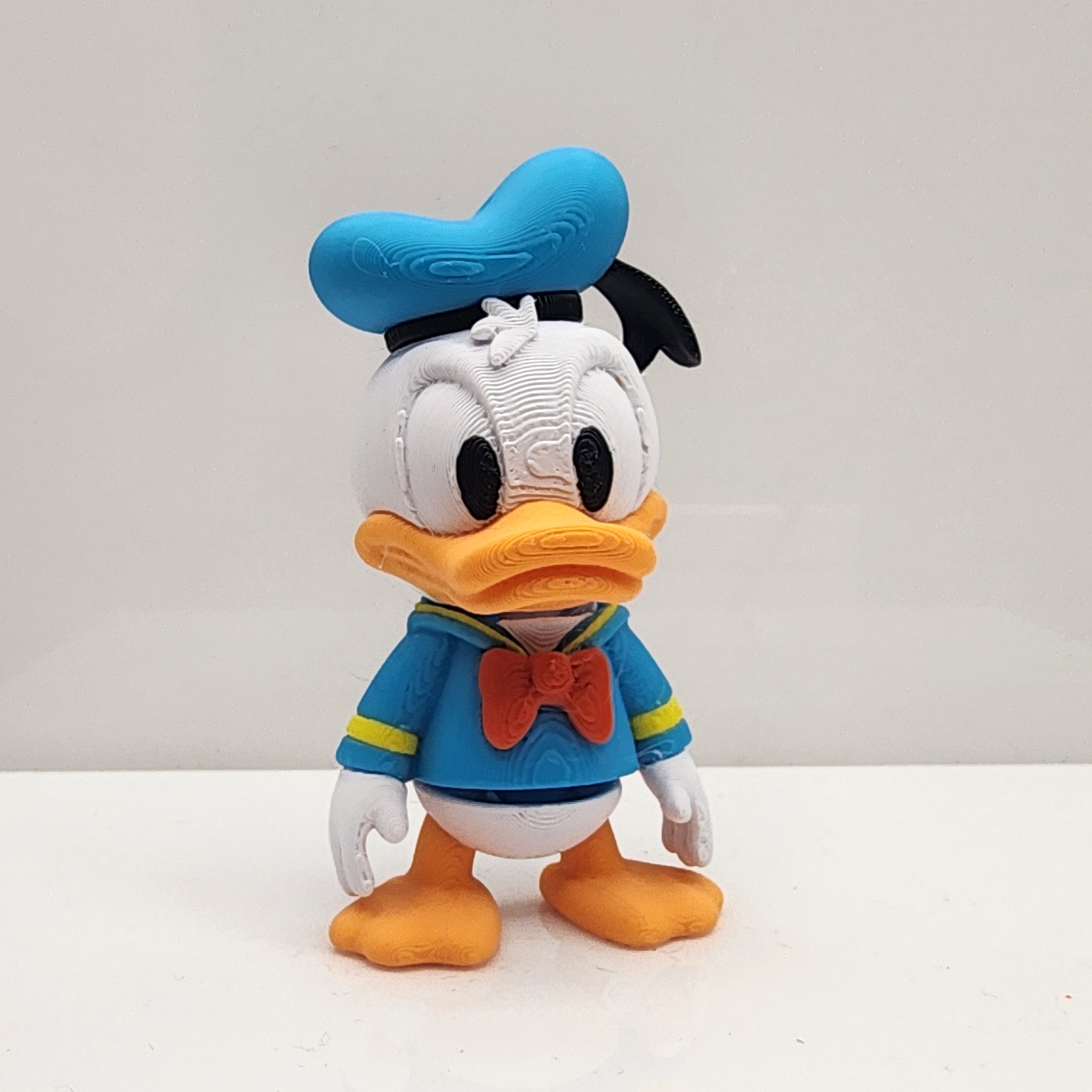 Duck