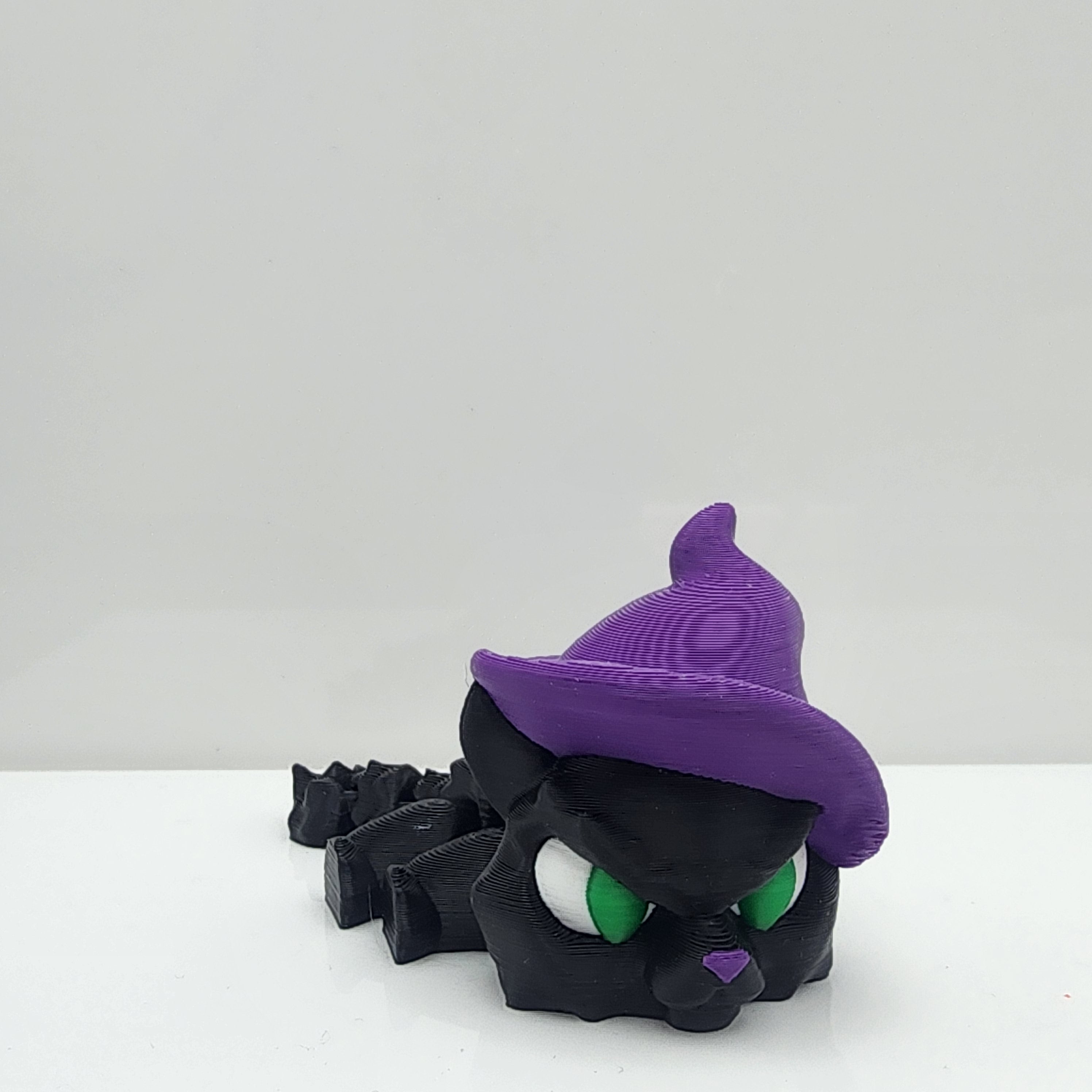 Witch Hat Cat